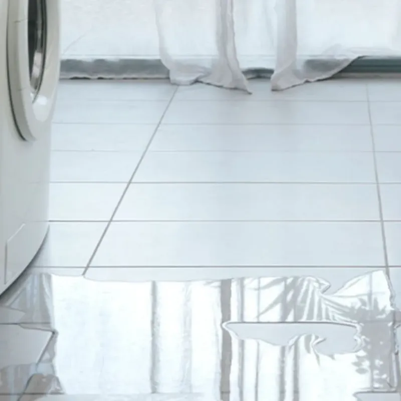 Appliance Leak Cleanup in Plant City, FL