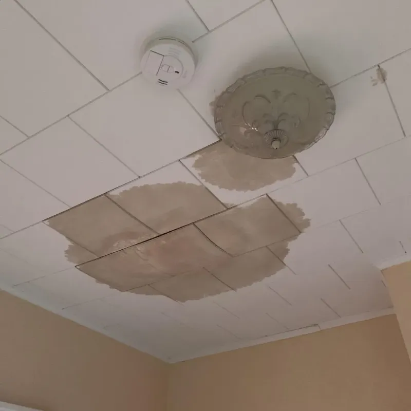 Ceiling Water Damage Repair in Plant City, FL